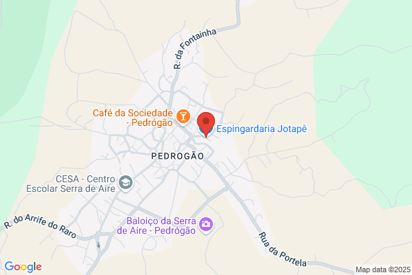 Espingardaria Avenida
