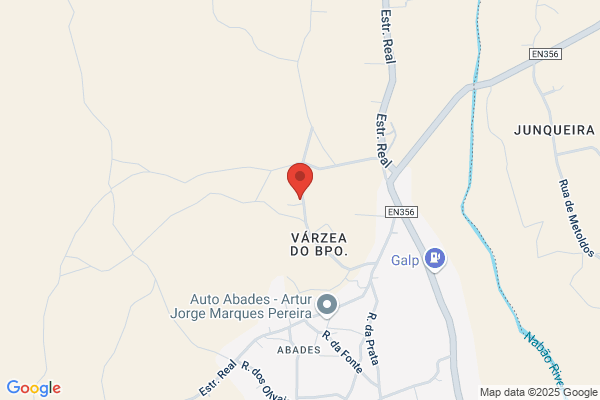 Adelino Gomes Simåes
