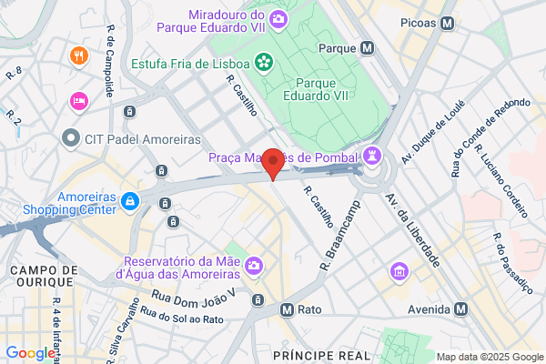 Alexandra F P Santos Penacho