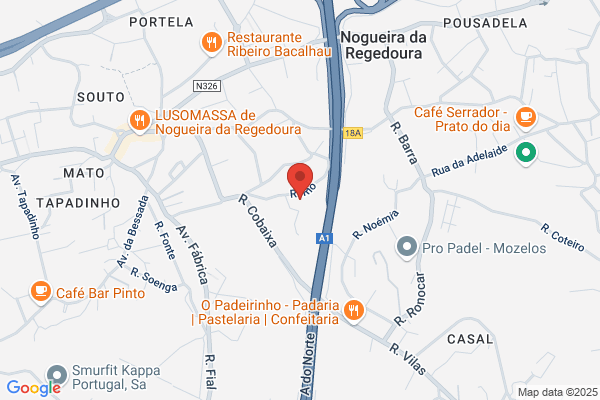 Arlindo Rodrigues