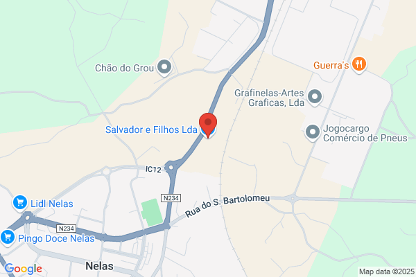 F Salvador Gonialves. Lda