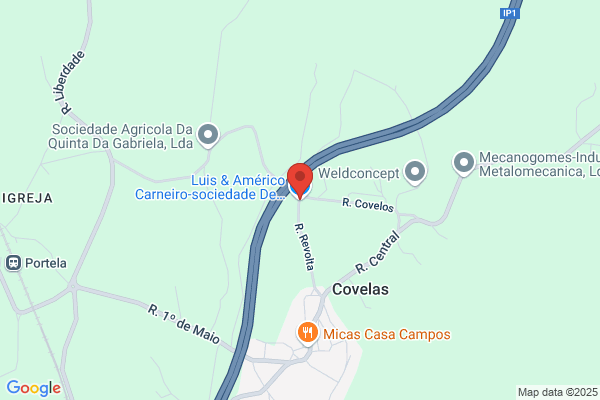 Abel B M Almeida Carvalhais