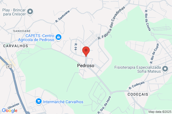 Pichelariagomesdegaia