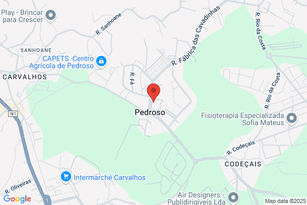 Fòica Da Igreja Paroquial Da Freguesia De sàpedro De Pedroso