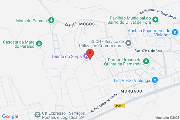 Josm Gomes Rolo