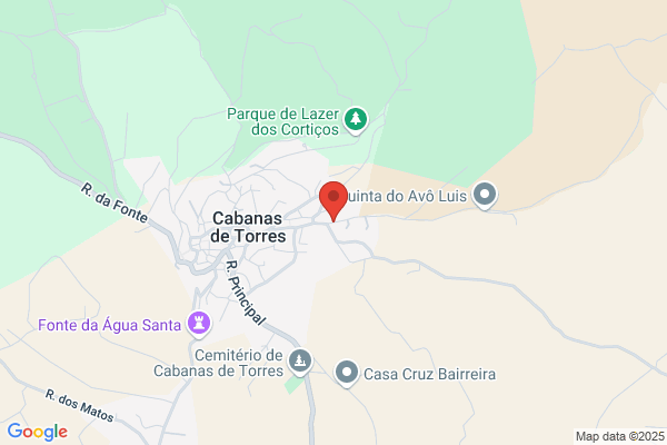 Carlos M Péguinho Torres