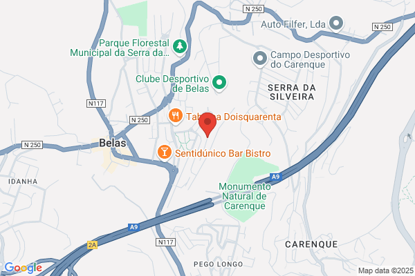 Maria H M Gomes Bernardo