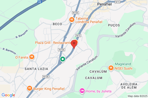 Paula M A A Fonseca Carvalho