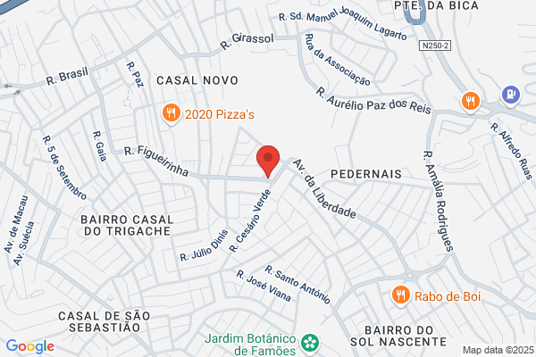 Carlos M Teixeira Ribeiro