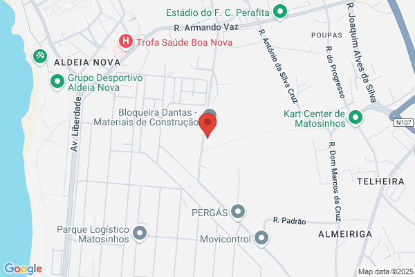 A F J-Transportes Nacionais Internacionais Lda
