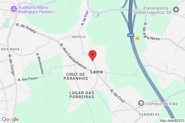 Fernando Maia & Fernandes. Lda