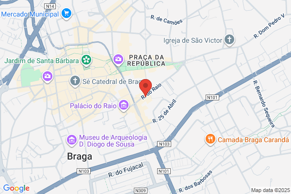 Ana R S B Braga Costa