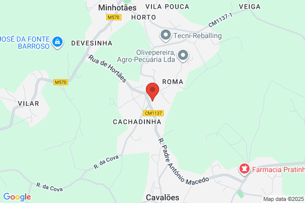 Arminda M Braga Melo