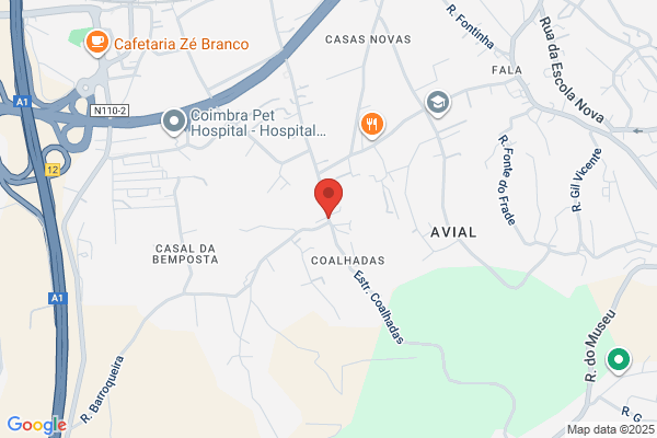 Jorge Anto Semelhe De Carvalho