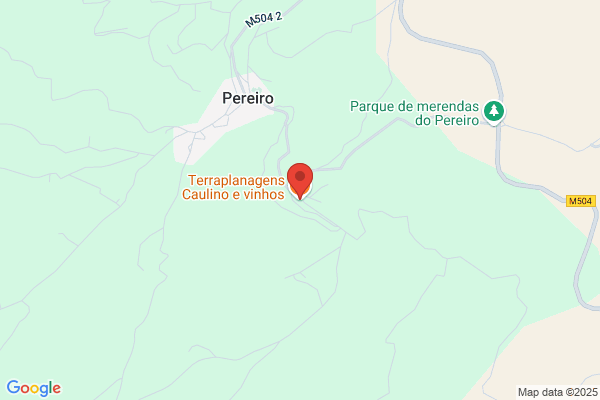Terraplanagens Caulinos Lda