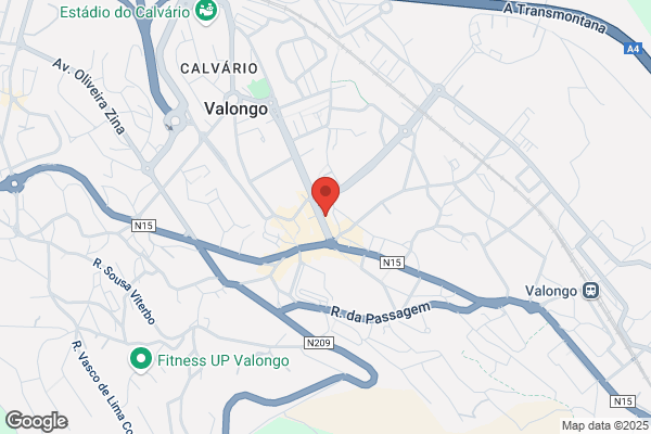 Agencia De Viagens Vallis Longus. Lda