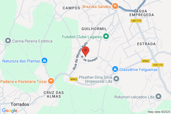 Jardim De Infãia De Trídas-Vessadas