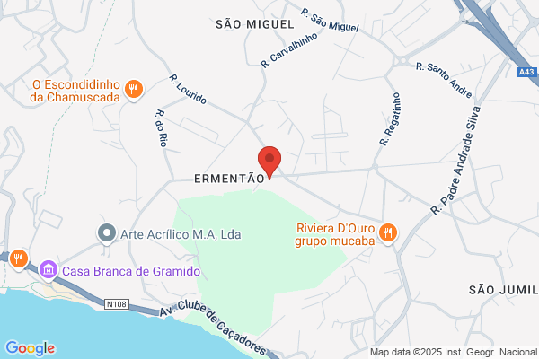 António V Teixeira Carvalho