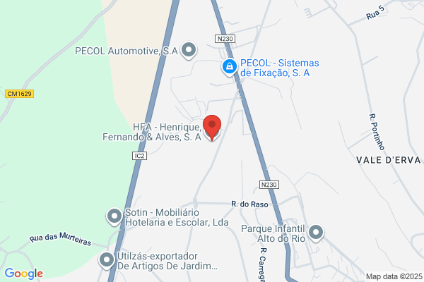 Henrique Fernando S& Slda