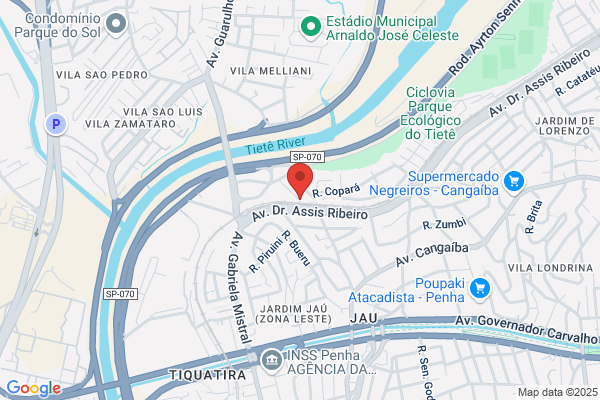 Carla M Pinho Rodrigues