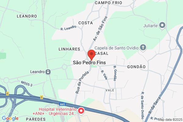 Abade São Pedro Fins