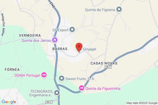 Gelsintra Comãio Congelados Lda