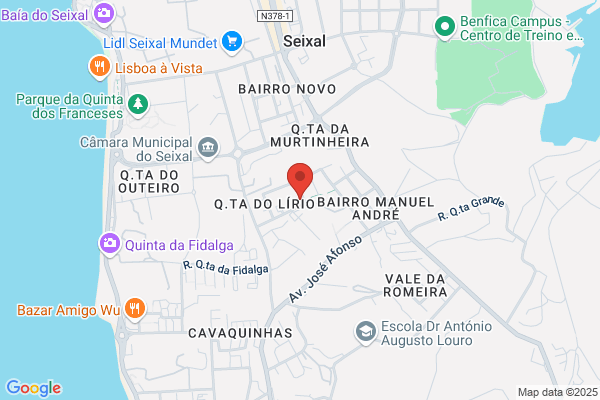 Seliser 2-Limpeza. Multiserviioes E Cooperaiao Tecnica. Lda