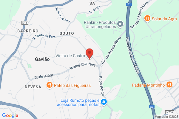 Dinis Castro Vieira