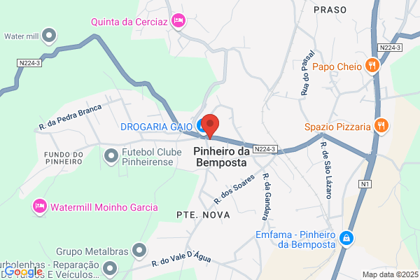Garrafeira Particular Lda