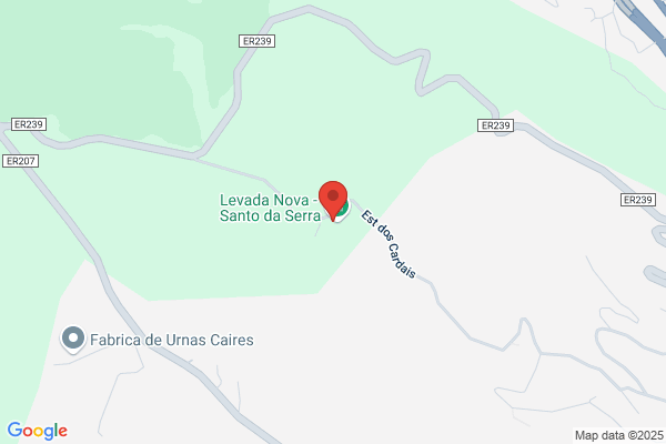 Cabeis De Carvalho
