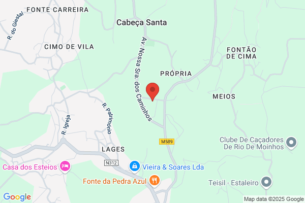 Agostinho C Ferreira Mota