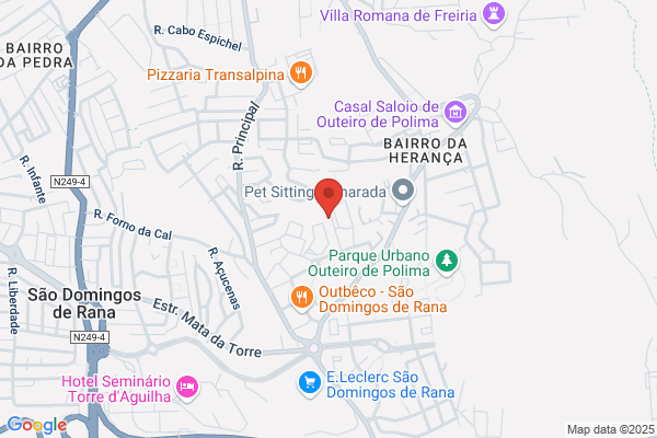 Crisconta-Tecnicas De Gestao. Lda