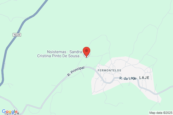 Sandra S L Pinto Sousa