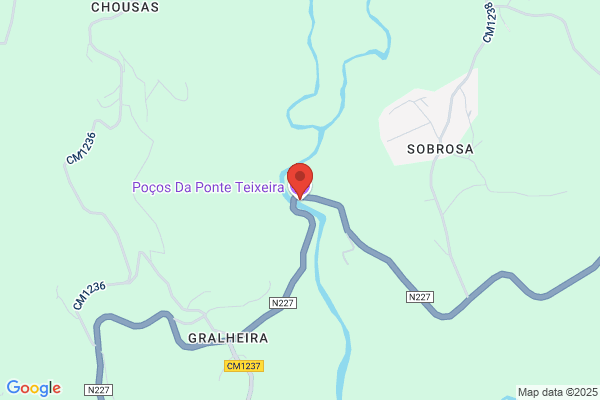 Fòica De Mis Domingos Teixeira