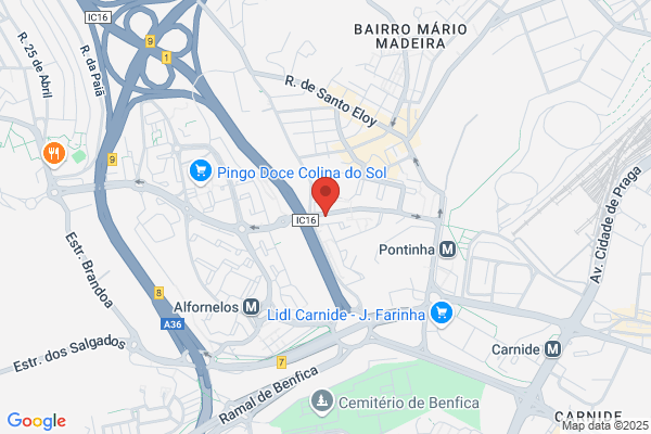 Pitucha-Comercio E Industria De Confeciåes. Lda