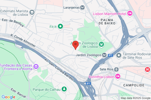 Universidade Internacional
