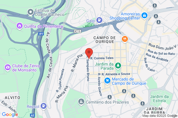 Carlos Correia Teles
