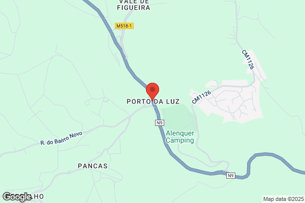 Méo M P Mota Raposo
