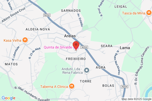 Adelino M Fernandes Silva