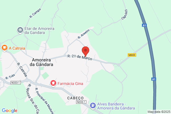 Edgar M M A Ferreira Sousa
