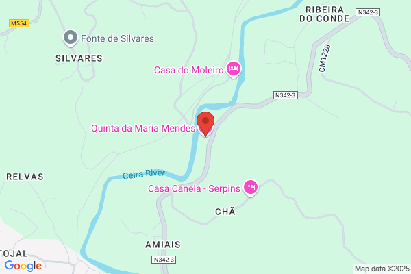 Maria C F Mendes Fernandes