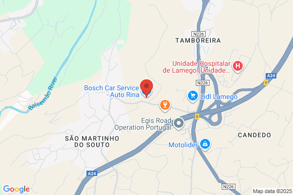 Bosch Car Service Auto Rina