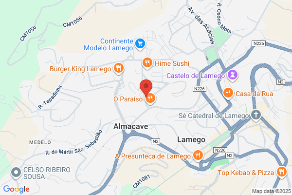 Clínica Veterinária Douro Sul Lda