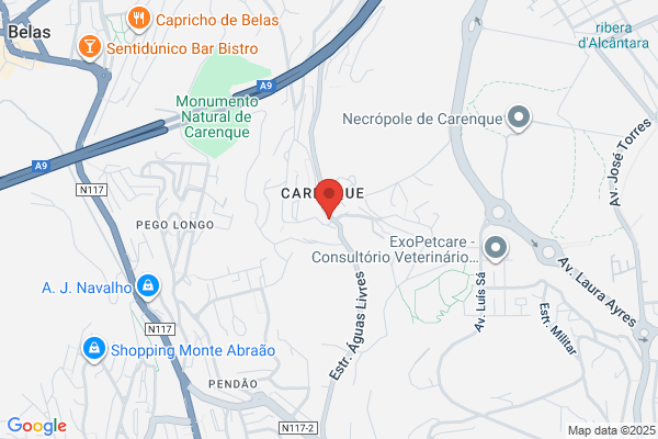 Cabeleireiro Palmira