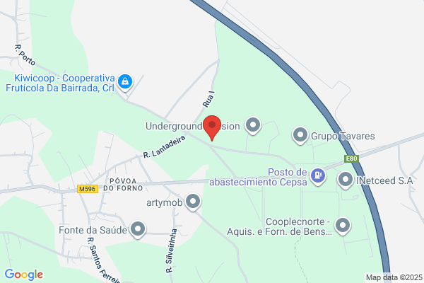 Lues Fernandes Tavares