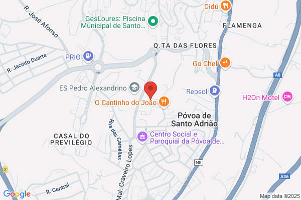 Ana S C Dionéo Barreto