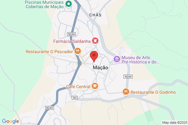 Ana Isabel Lopes Silva