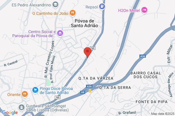David P T Barrias Silva