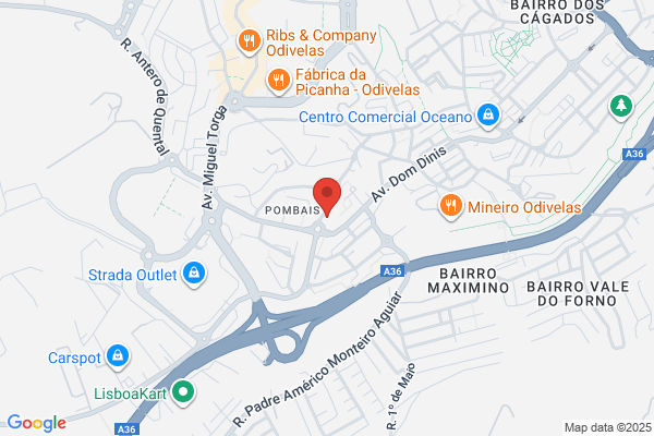 Rute-Técnicos Oficiais De Contas Lda