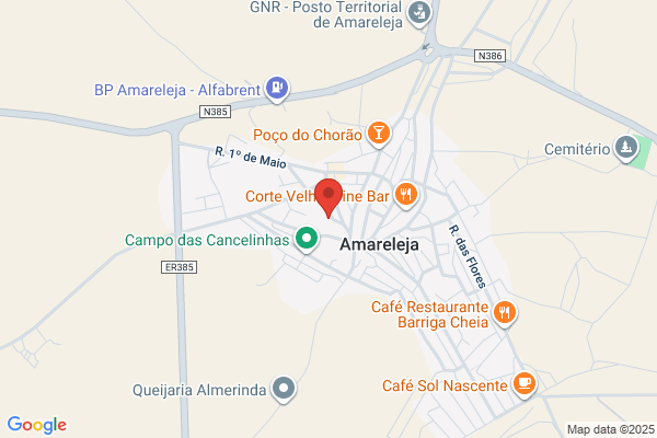 Agostinha Martins Caeiro